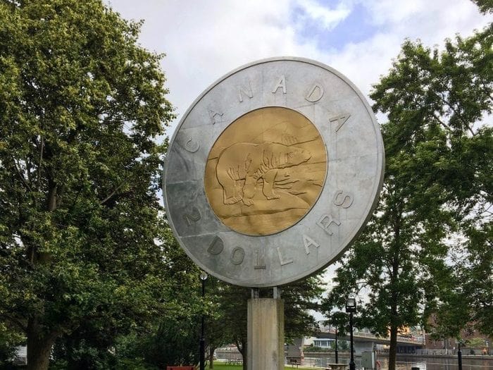 بیگ تونی: نمادی از حیات وحش