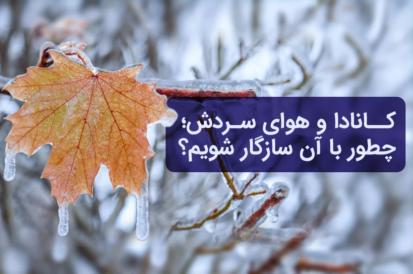 چگونه با سردی هوای کانادا بعد از مهاجرت کنار بیایم؟