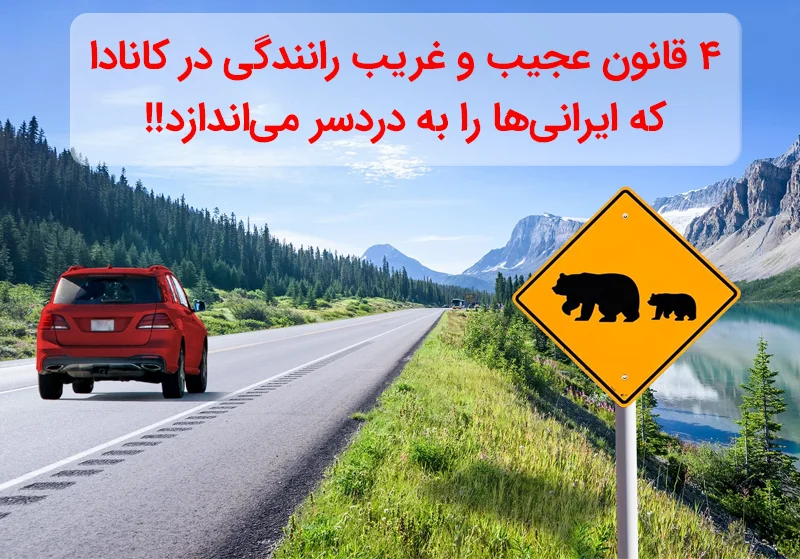 ۴ قانون عجیب‌وغریب رانندگی در کانادا که ایرانی‌ها را به دردسر می‌اندازد!